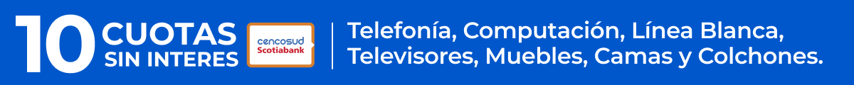 10 Cuotas sin Interes