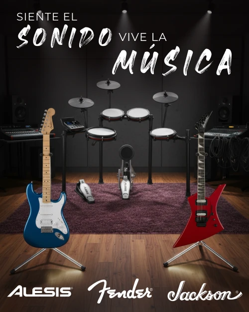 Instrumentos Musicales