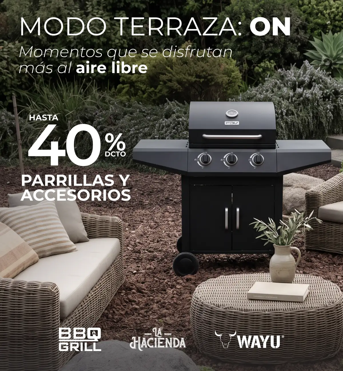 Jardín y terraza