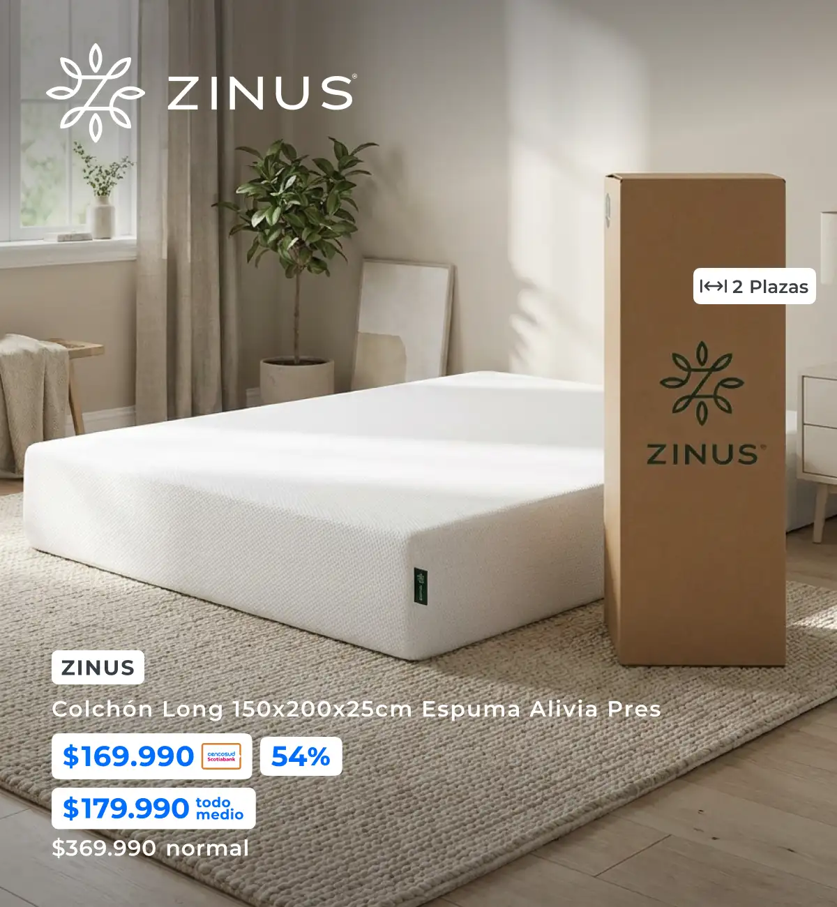 Zinus