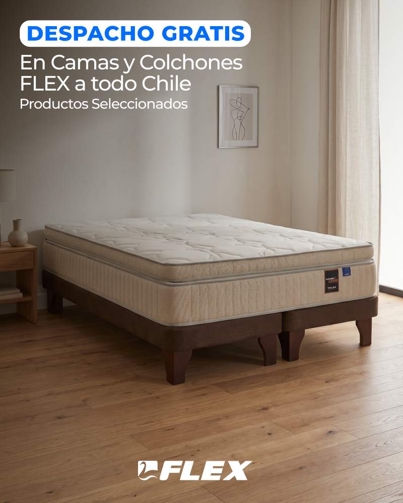 Flex con despacho gratis sobre $299.990