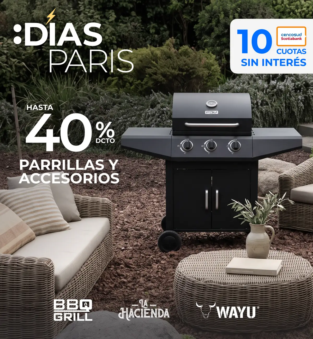 Jardín y terraza