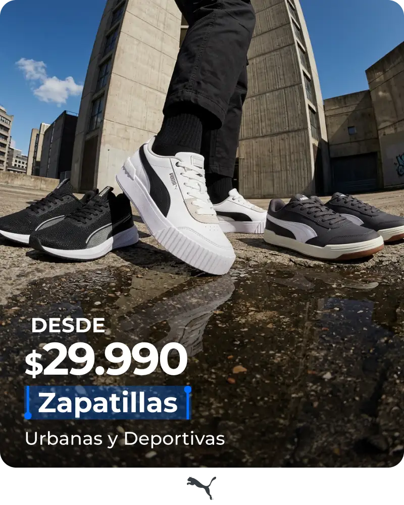 zapatillas