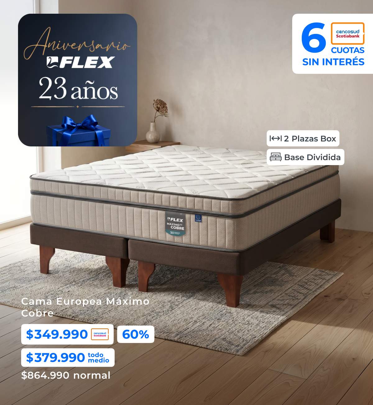 Aniversario Flex 