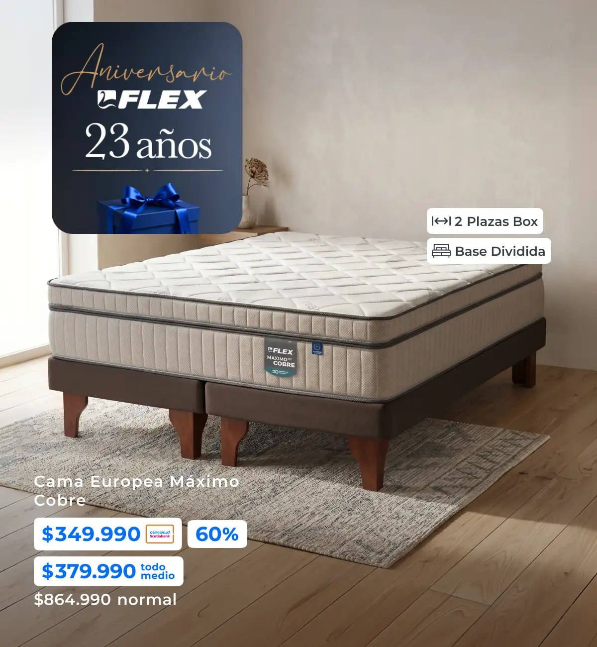 Aniversario Flex 