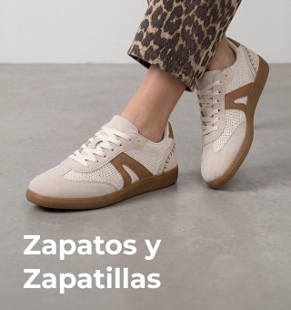 Zapato y zapatillas