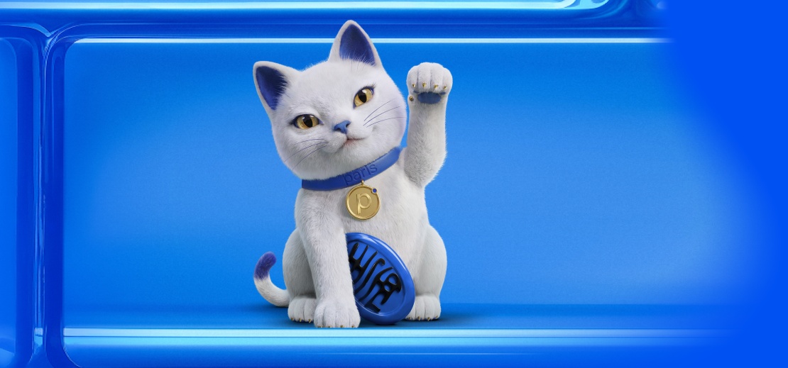 Gato Paris CyberMonday