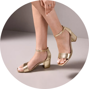 Zapatos Fiesta