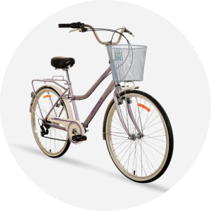 Bicicletas Paseo