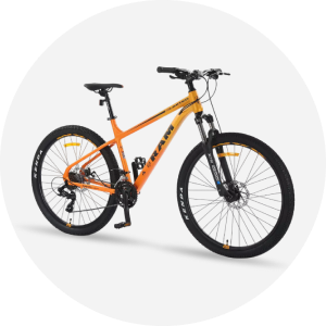 Bicicletas