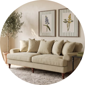Sofás y Sillones