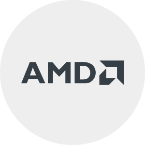 AMD GAMER
